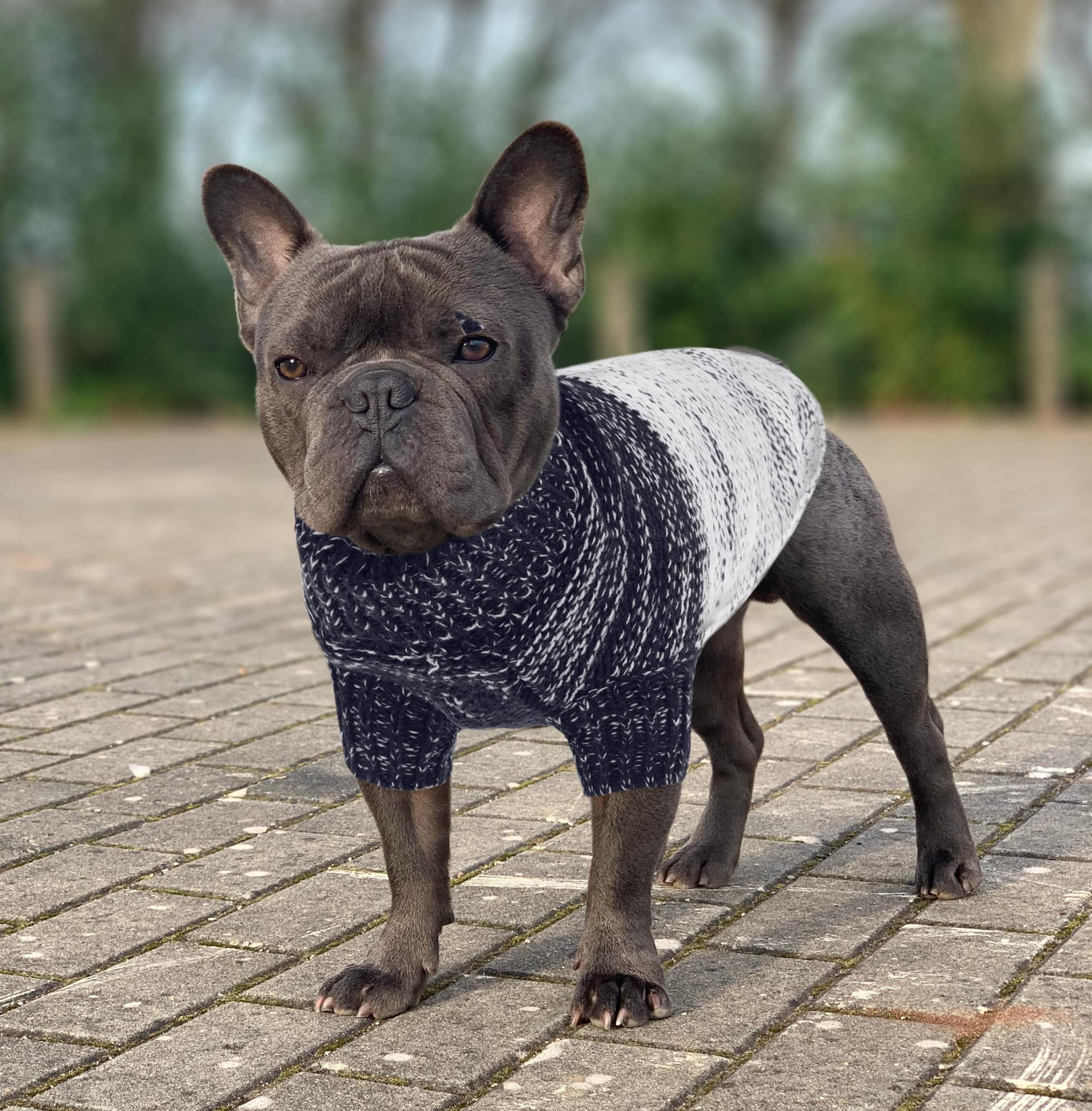 Queenmore sweater is machine-washable for easy care after adventures.