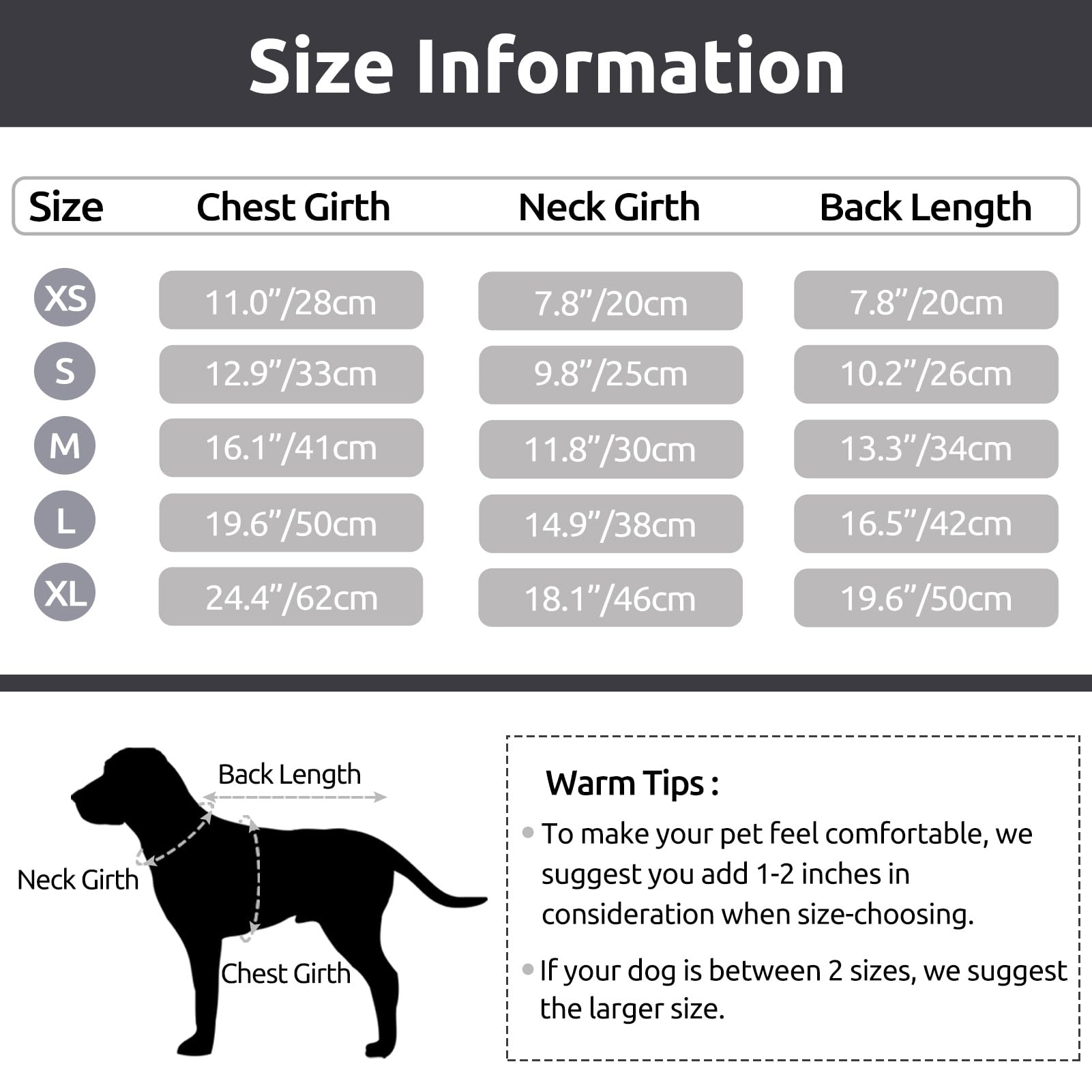 Two-tone patchwork Queenmore sweater on a small dog for stylish everyday wear.