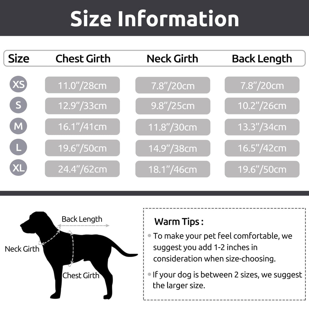 Two-tone patchwork Queenmore sweater on a small dog for stylish everyday wear.