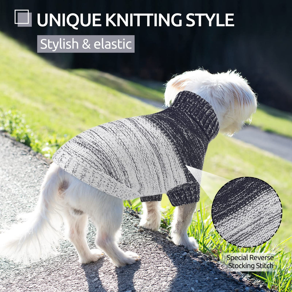 Pet wearing Queenmore sweater demonstrating two-sleeve design for fall and winter warmth.