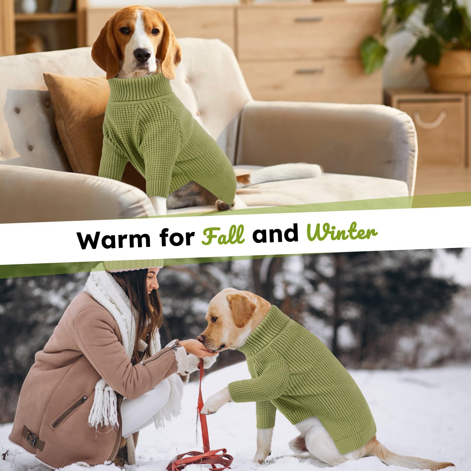Queenmore large-breed-friendly sweater offers roomy coverage and warmth
