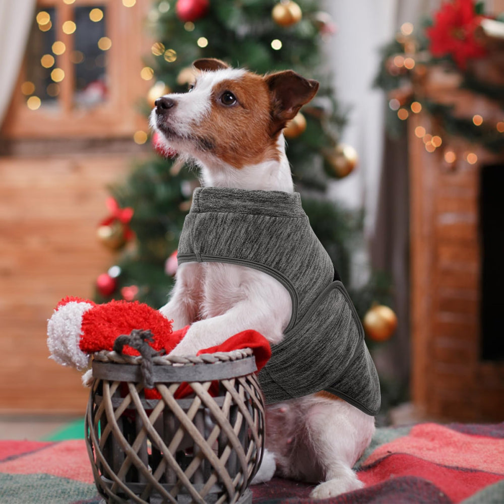 Queenmore machine-washable dog sweater for simple cleanup.