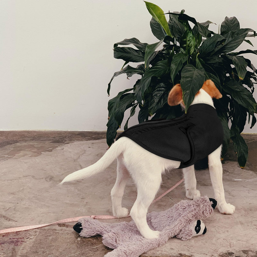 Queenmore durable machine-washable fleece remains soft after washing