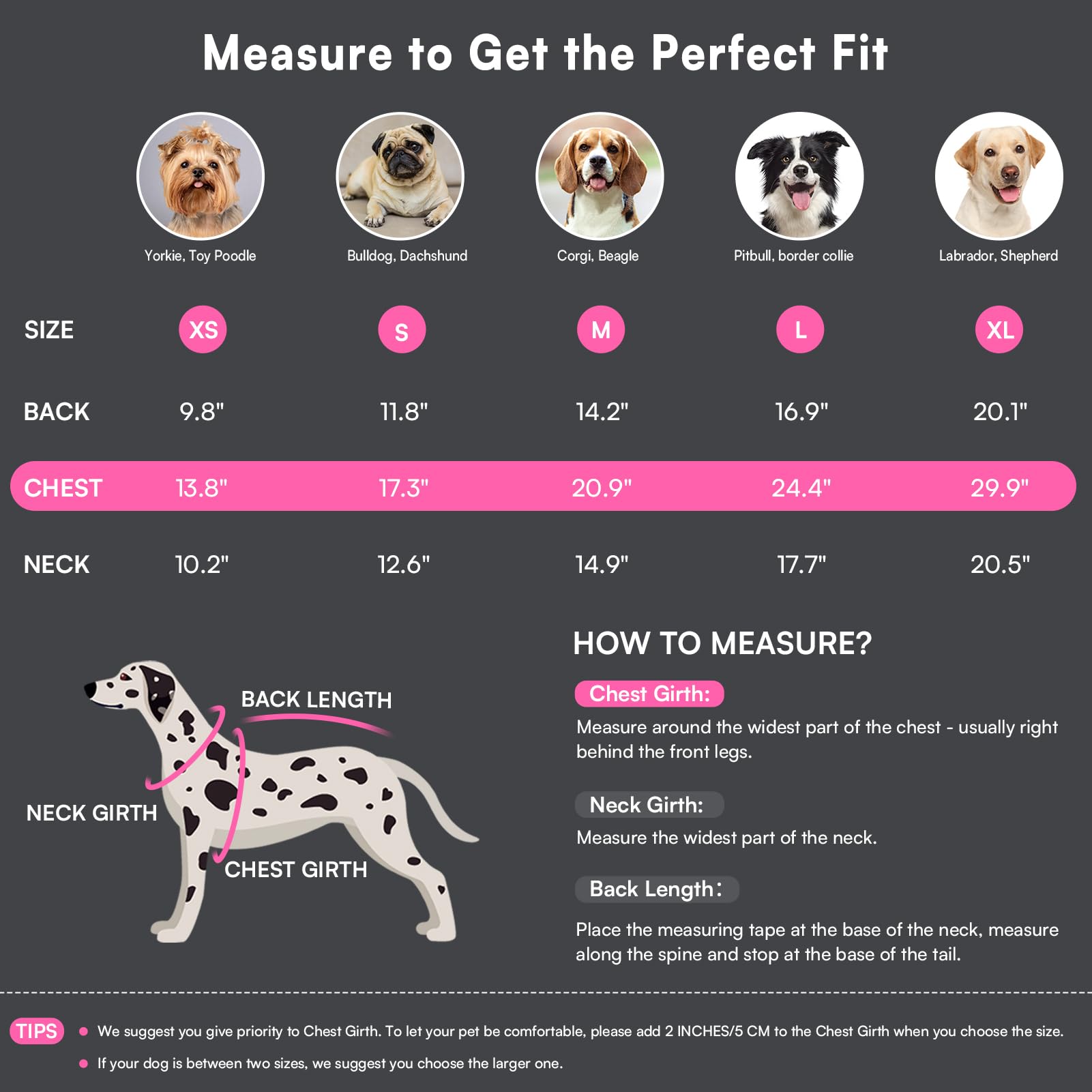 Queenmore coat neck belt hole for collar or leash attachment