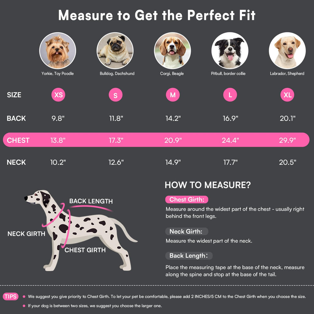 Queenmore coat neck belt hole for collar or leash attachment