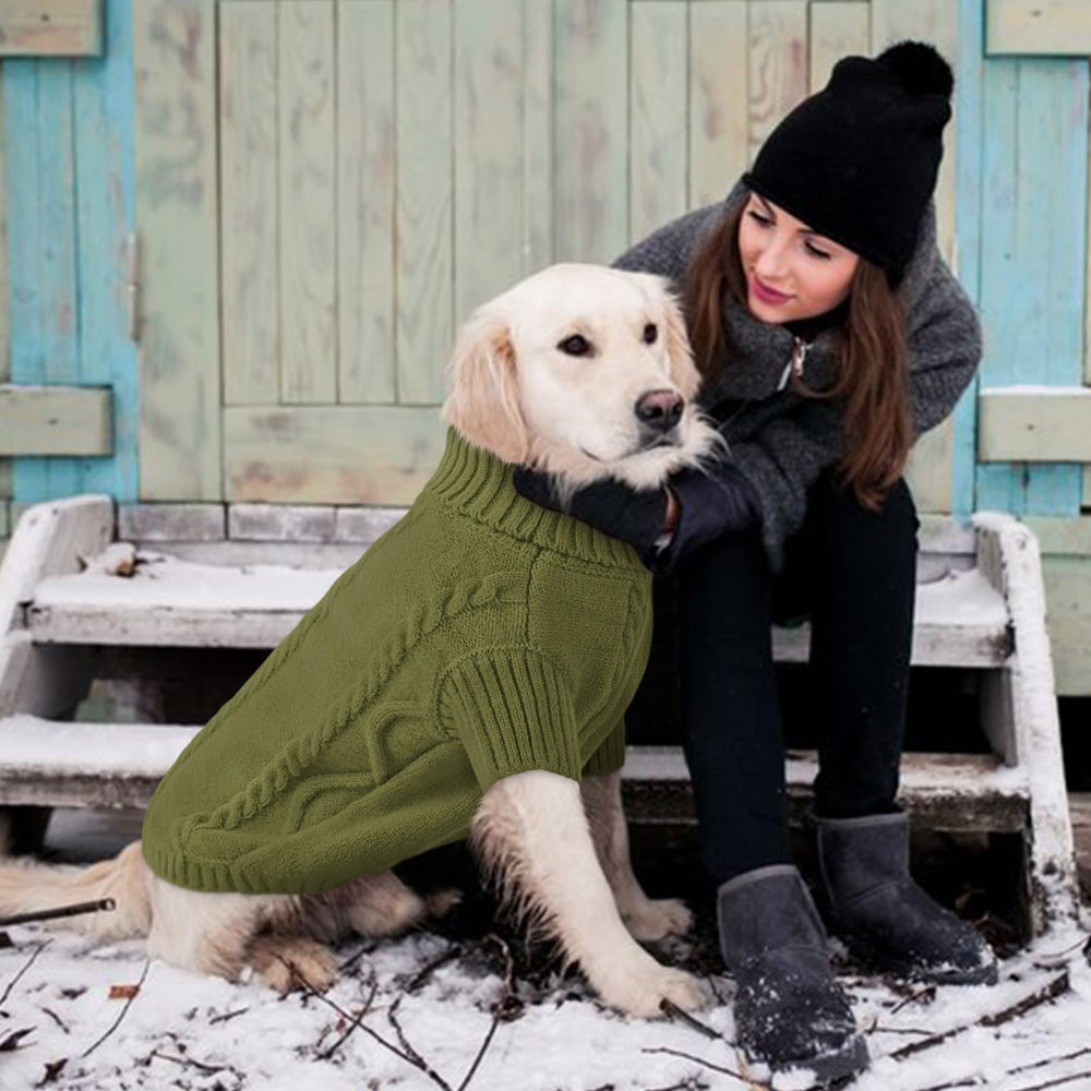 Queenmore olive-green small dog pullover sweater on model showcases stylish warmth.