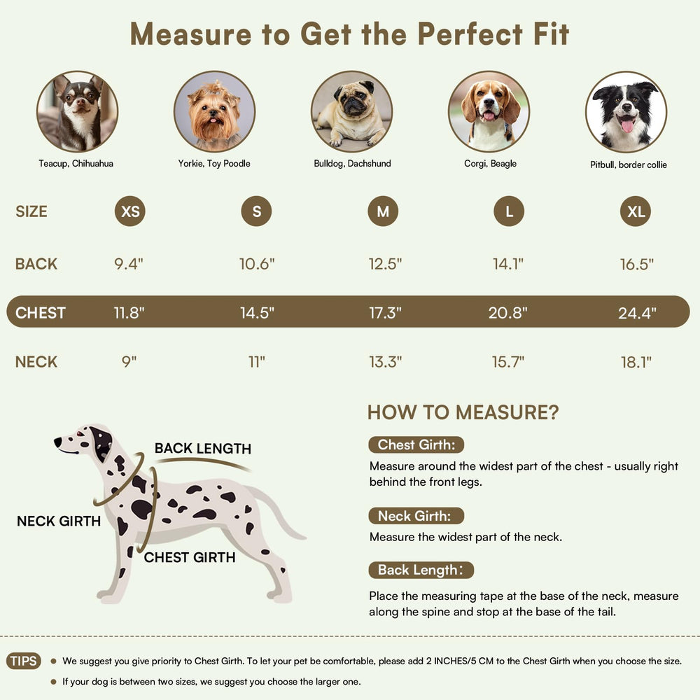 Queenmore patchwork design adds fashionable flair for daily wear.