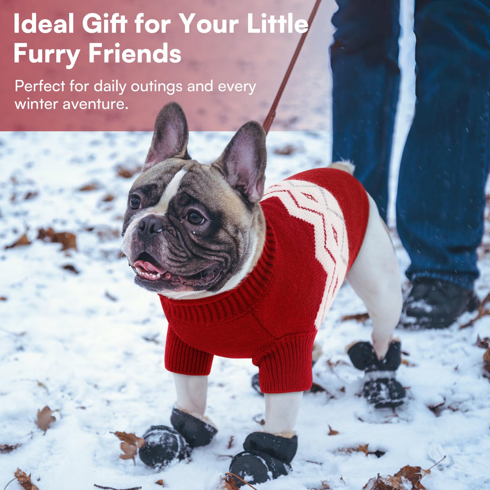 Queenmore pet knitwear in diamond pattern for elegant style.