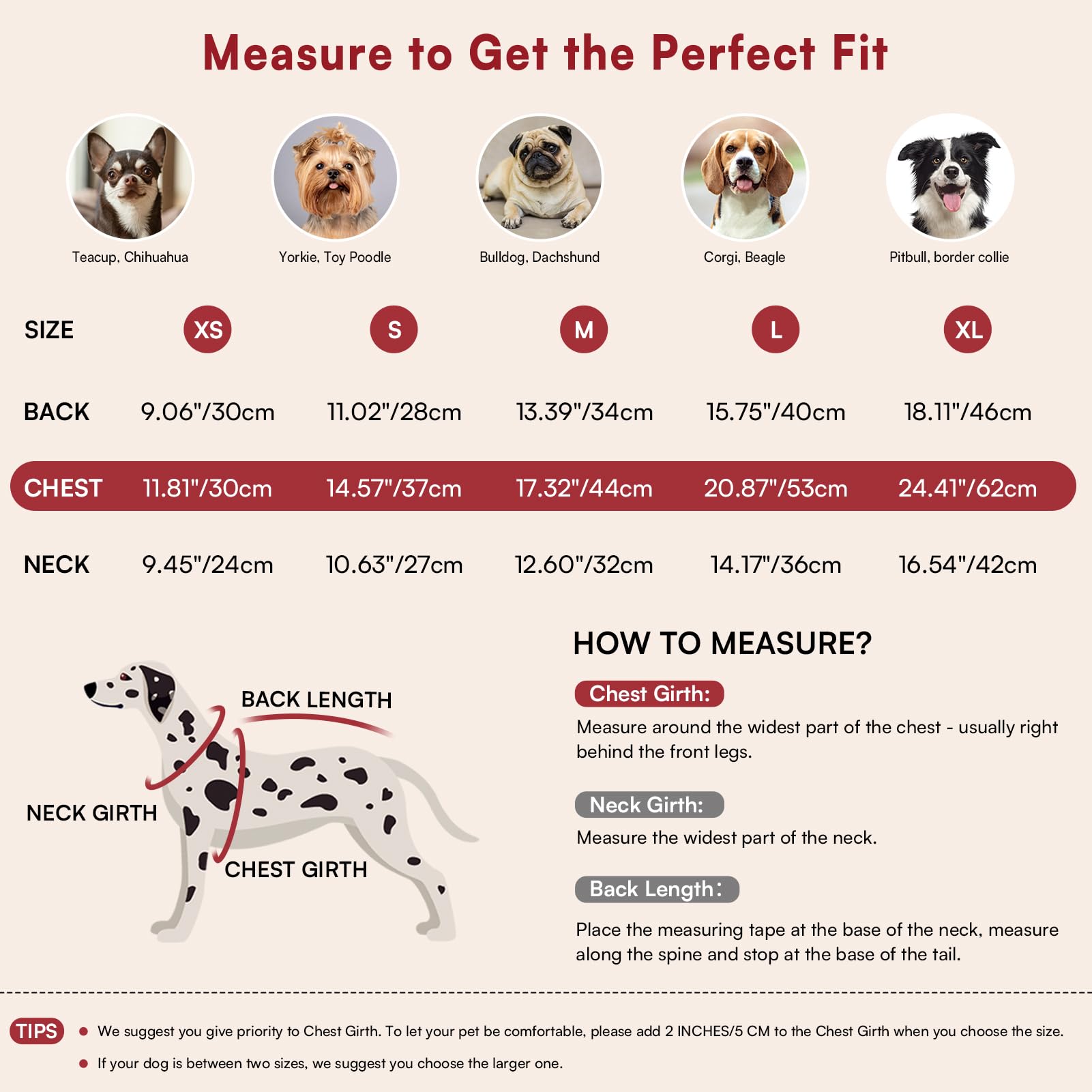 Queenmore pet knitwear showing elasticity for easy dressing.