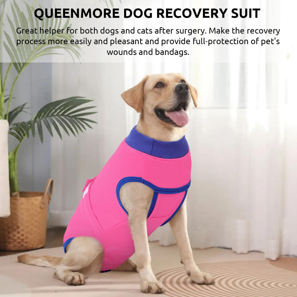 Queenmore Recovery Suit blue pattern ensures comfortable daily wear during healing.