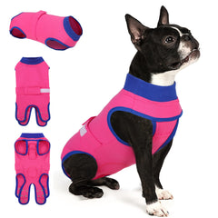 Queenmore Recovery Suit provides full-body wrap for dogs, protecting wounds while keeping movement easy.