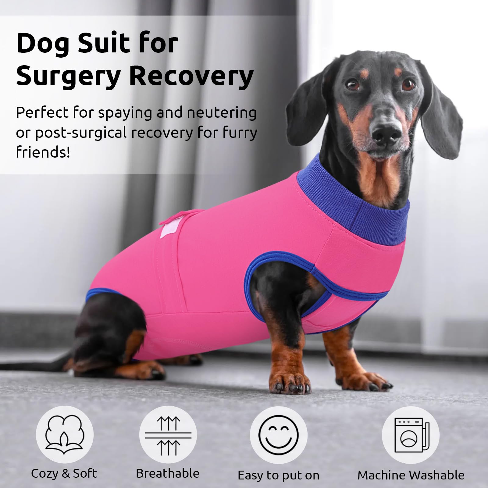 Queenmore Recovery Suit rose-red pattern adds daily wear appeal for pets in recovery.