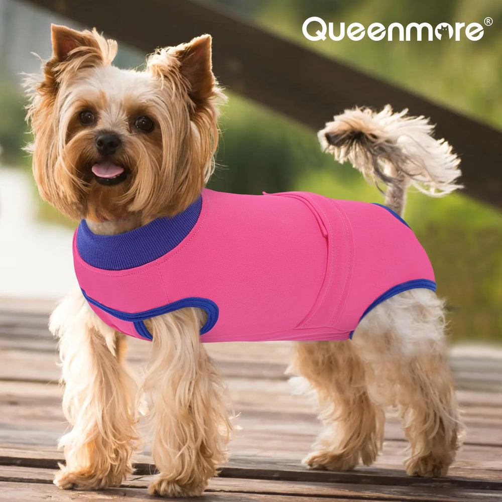 Queenmore Recovery Suit XXL fits many breeds with stretchy, comfortable fabric.