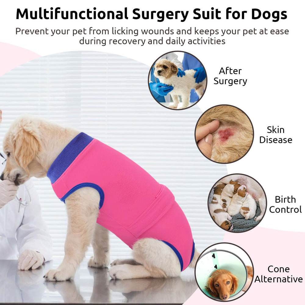 Queenmore Recovery Suit includes a large tail opening for female dogs to urinate without removal.