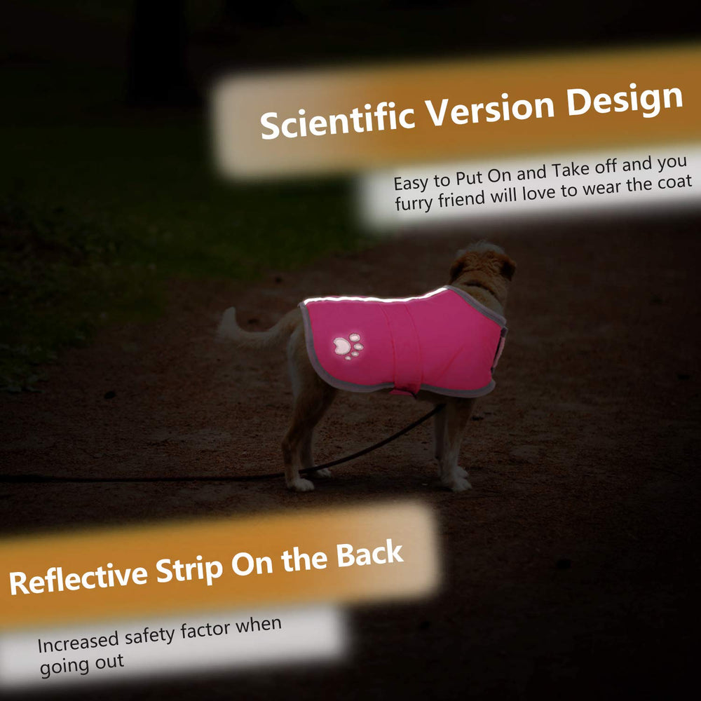 Queenmore reflective trim dog coat nighttime visibility during evening strolls.