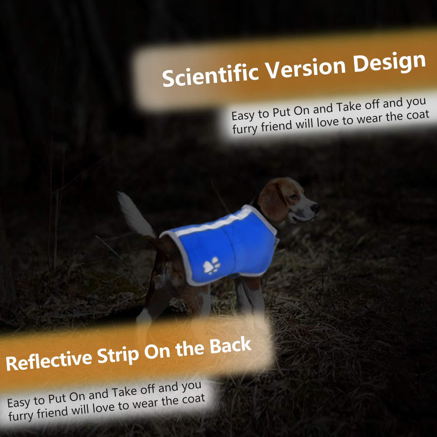 Queenmore reflective safety details help visibility during dusk strolls
