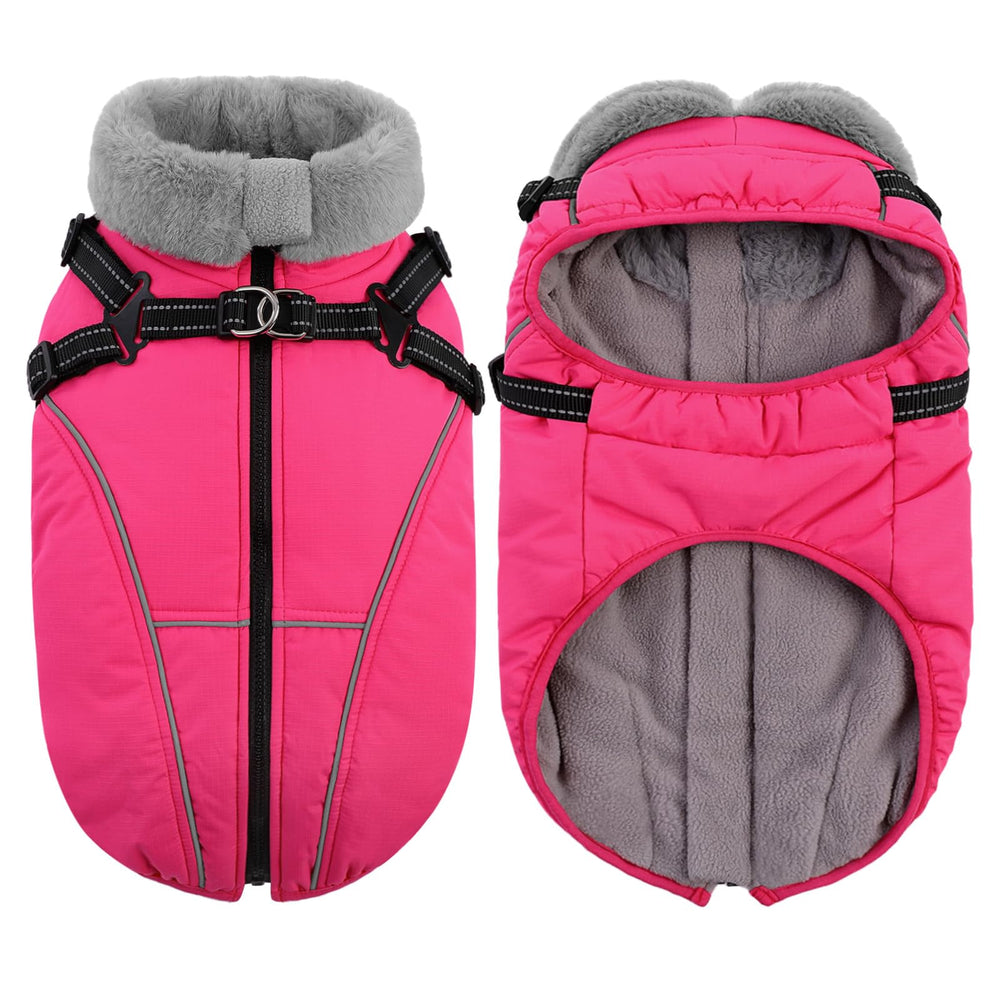 Queenmore rose-red dog coat with back zipper for quick dressing