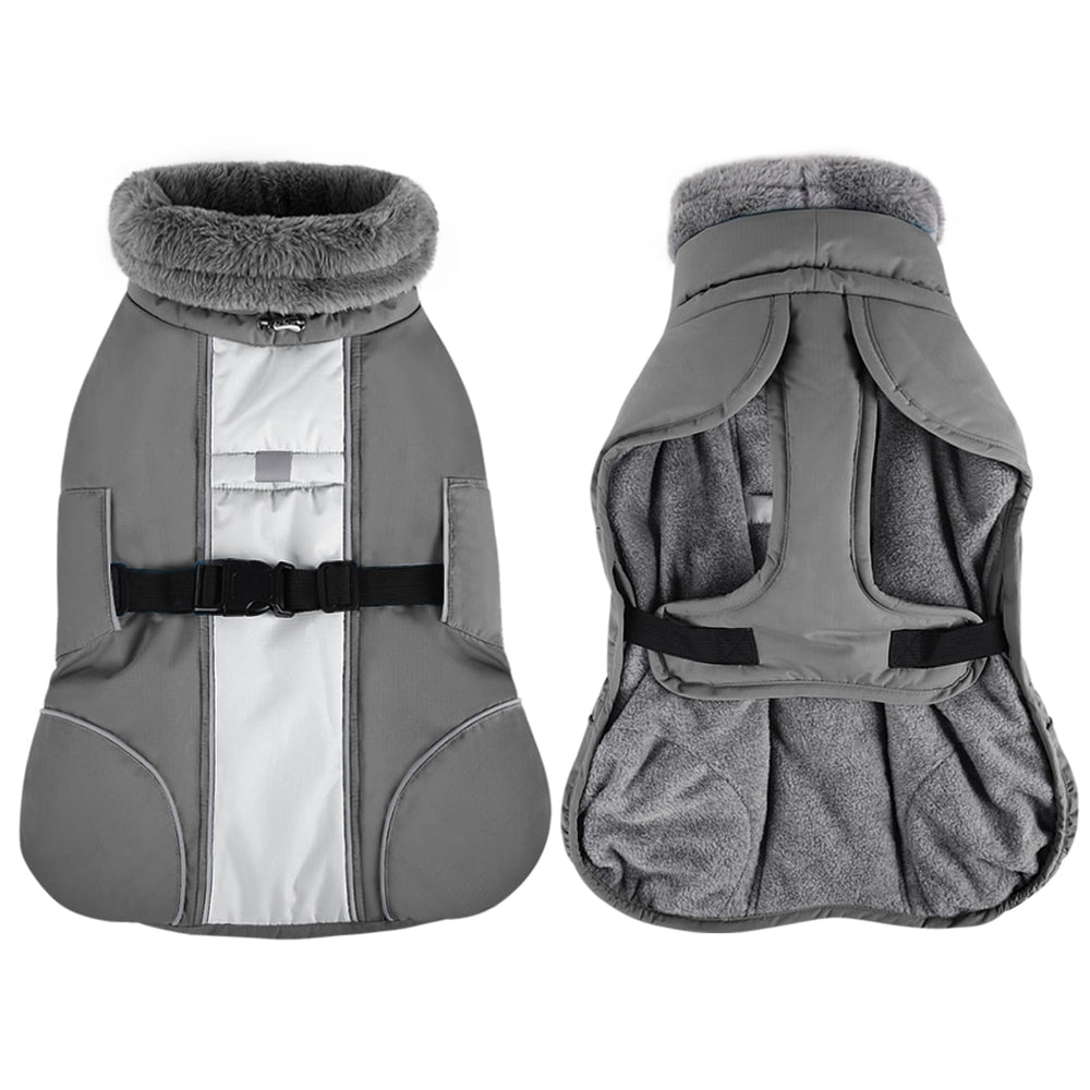 Queenmore size chart XXL grey, ensuring a proper fit for larger breeds