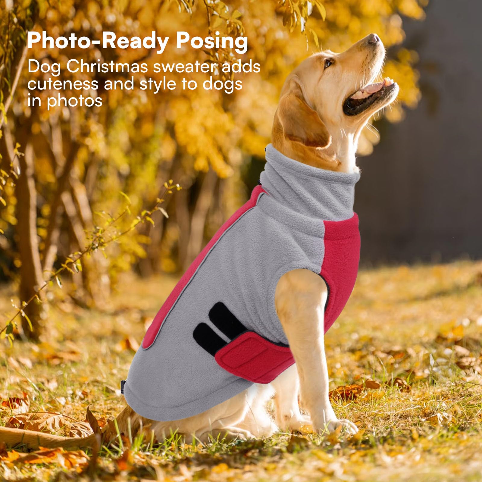 Queenmore sizes XS-3XL dog sweater versatile warm layer for small to XL dogs.