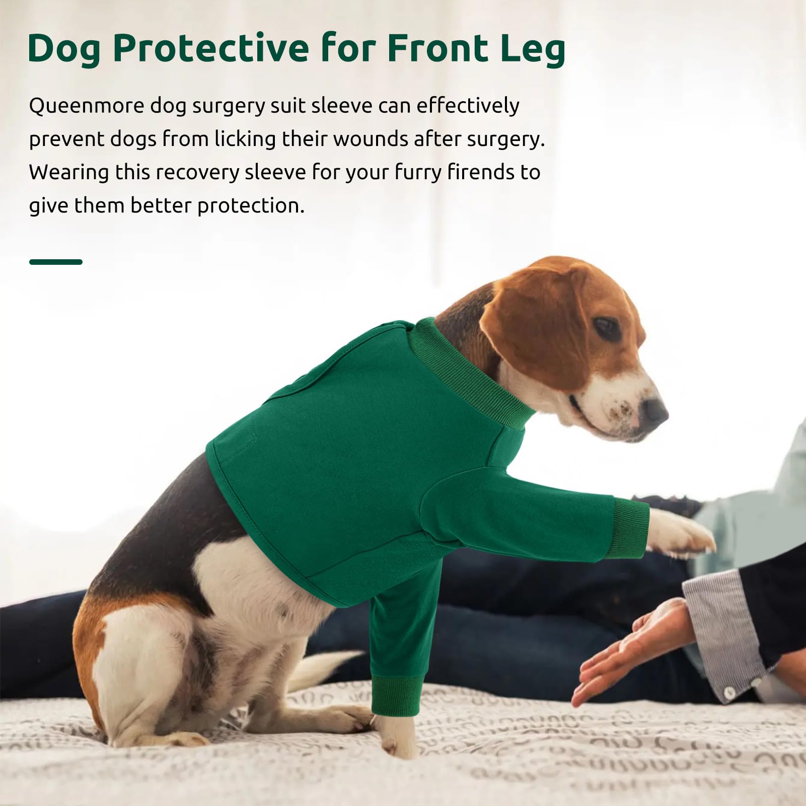 Queenmore sleeve fits most dogs; size chart helps find the right match.