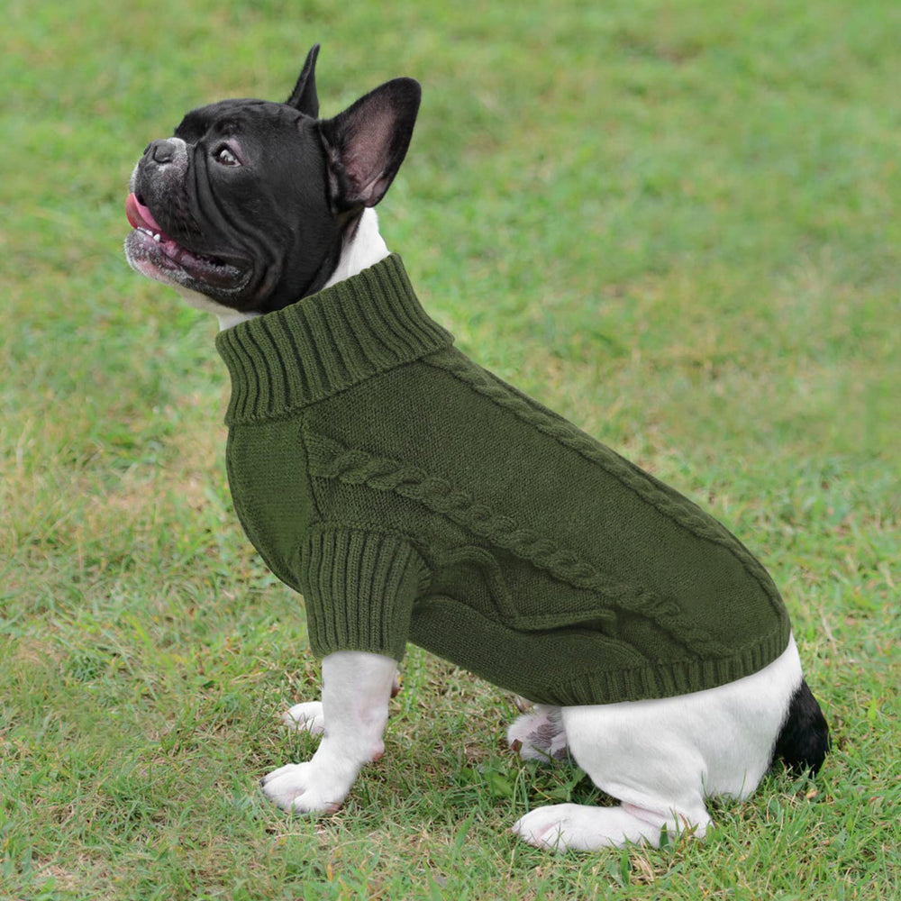 Queenmore small dog pullover color options image shows Army Green and other hues.