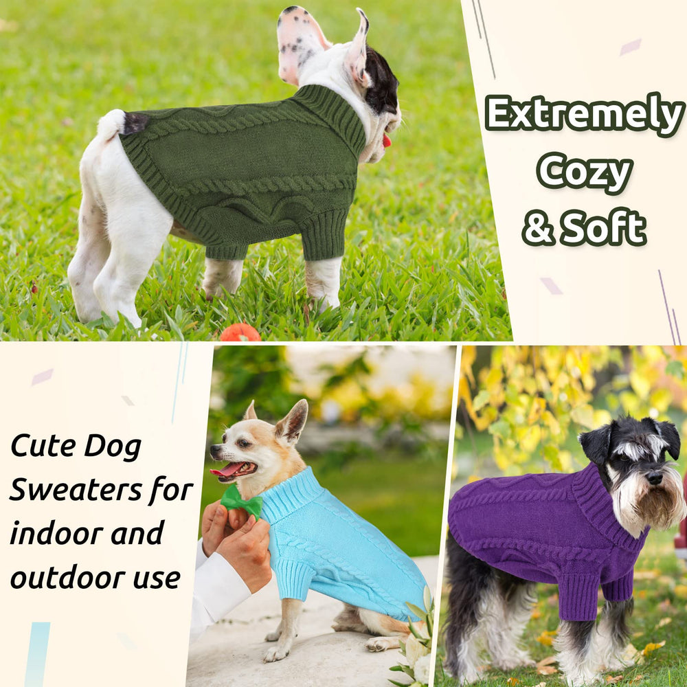 Queenmore sky-blue sweater on dog demonstrates versatile warmth during outdoor strolls.