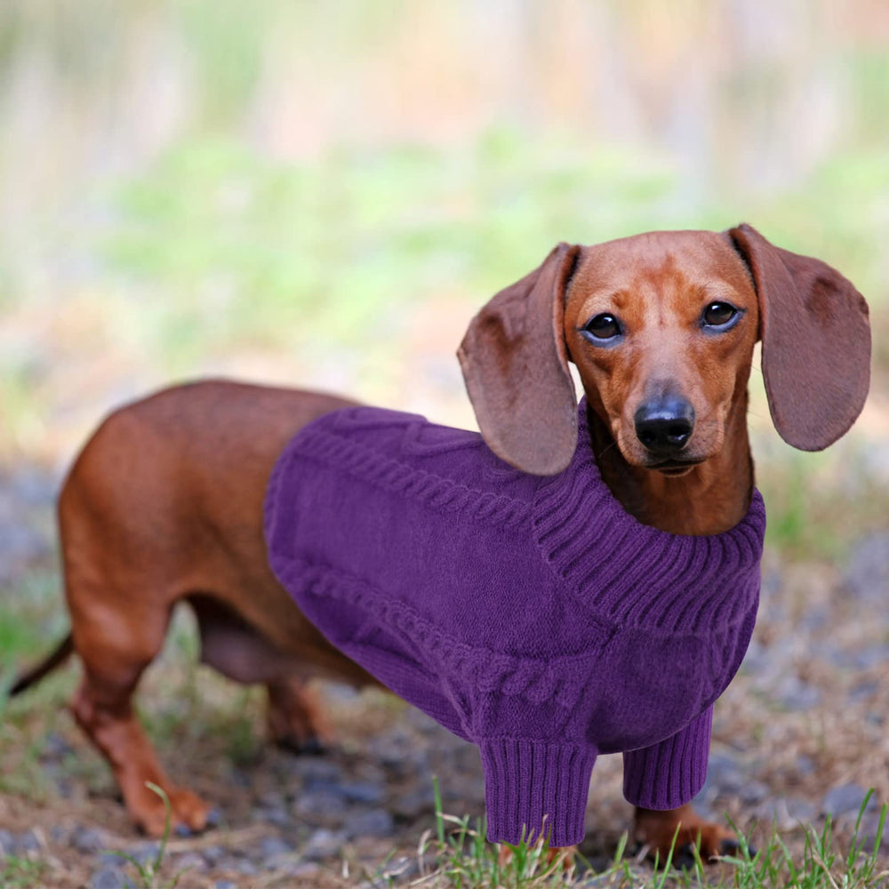 Queenmore small dog pullover sweater belly-wrap view emphasizes full coverage warmth.