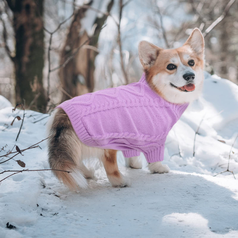 Queenmore small dog pullover sweater features cable-knit pattern for classic style.