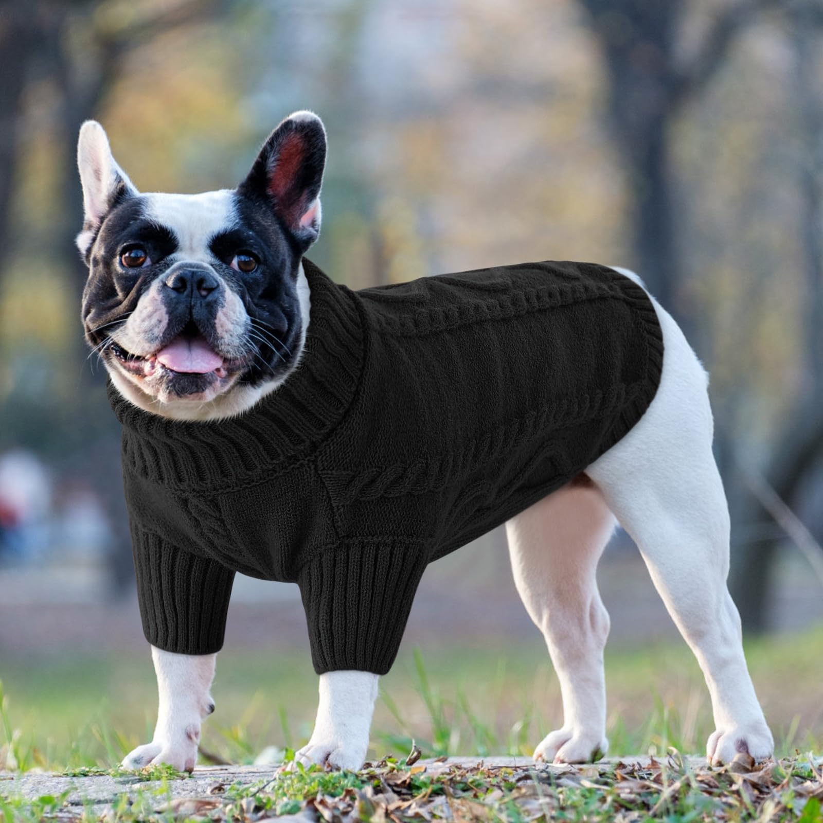Queenmore small dog pullover sweater color variation includes black and options