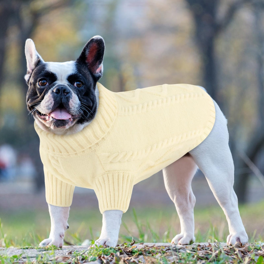Queenmore small dog pullover sweater elastic-fit-walking ensures comfy snug fit