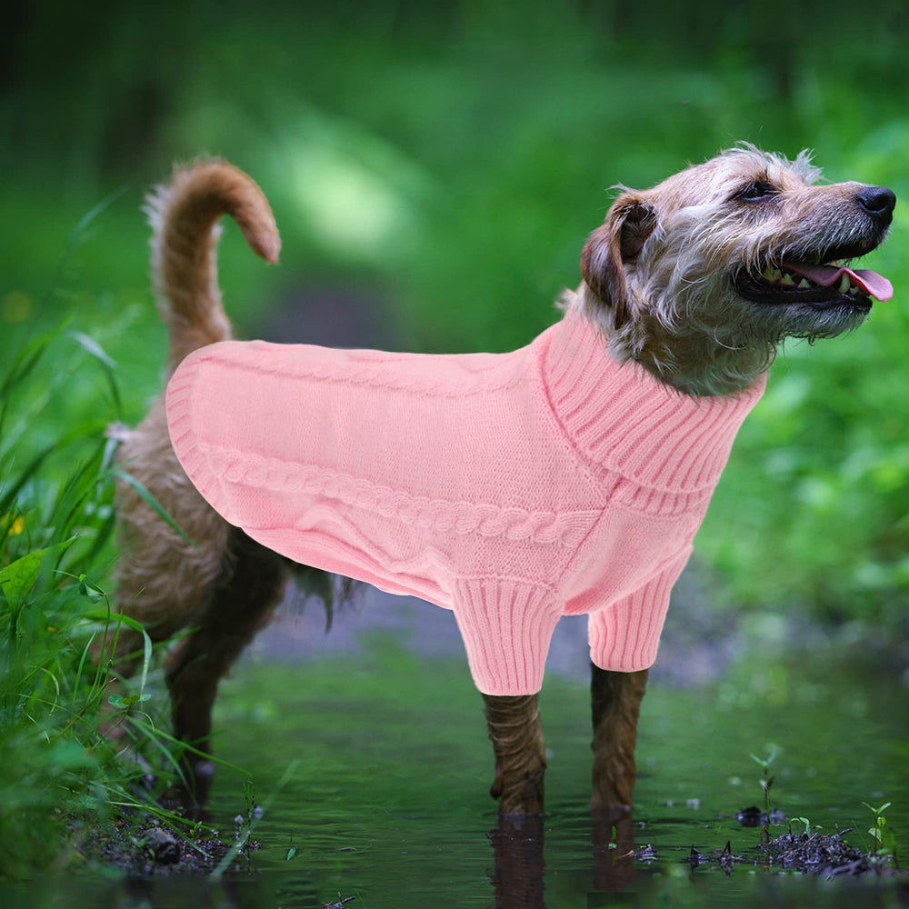 Queenmore small dog pullover sweater pink worn on dog during walk