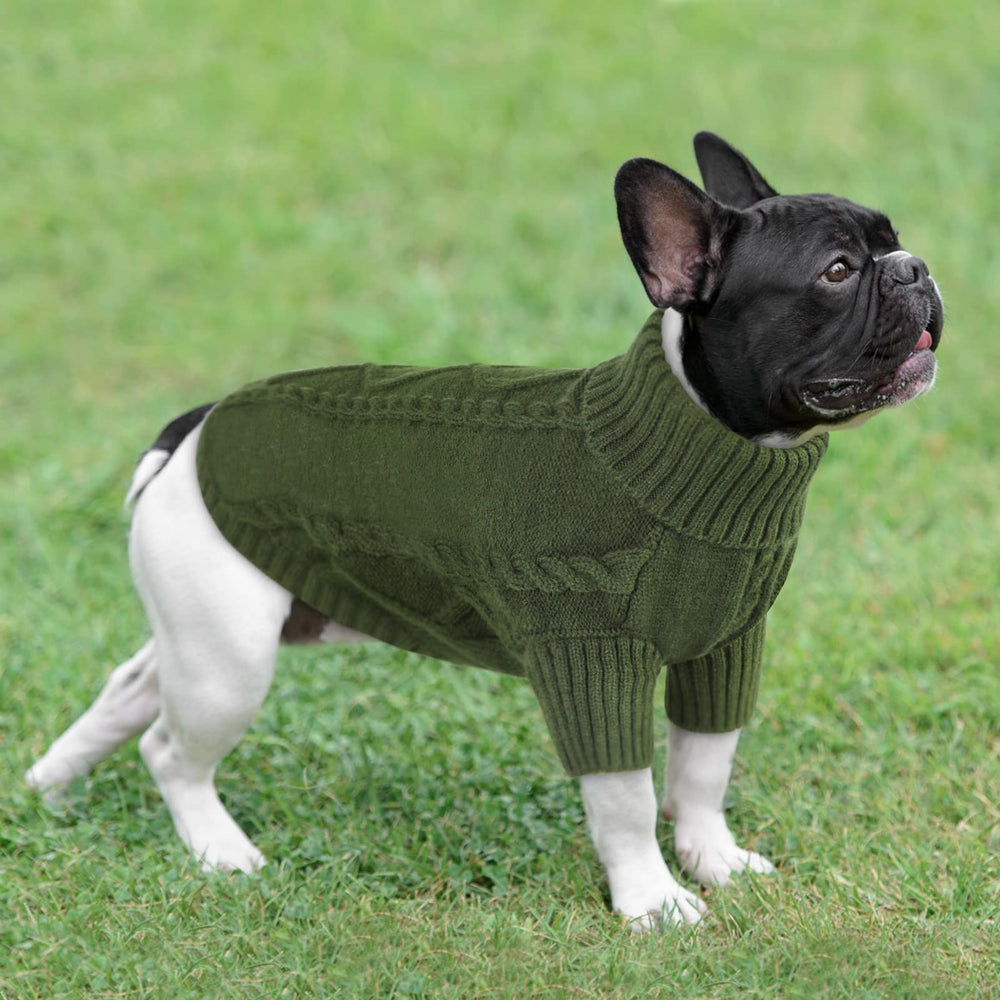 Queenmore small dog pullover walking model illustrates comfortable daily wear.