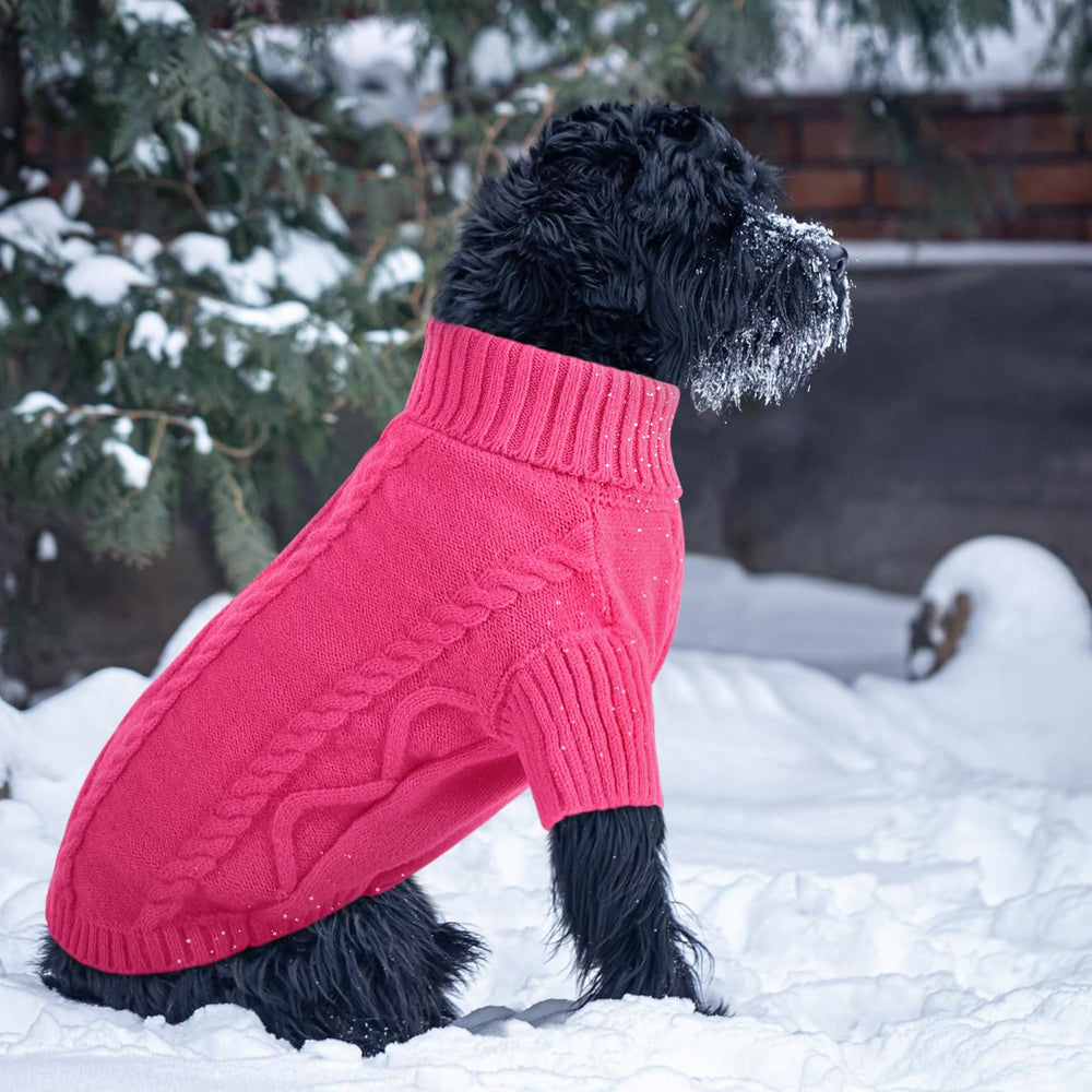 Queenmore small-dog winter knit ideal for Chihuahua and Pug fashion and warmth.