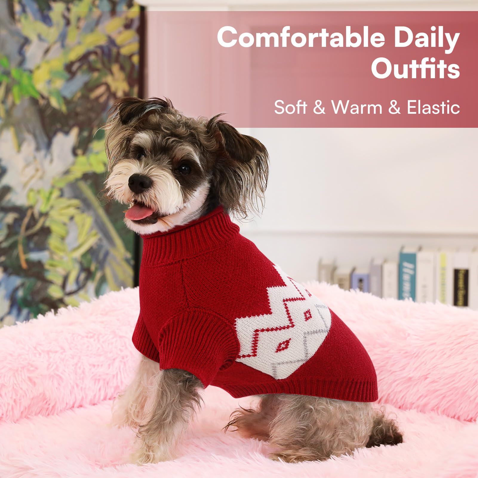 Queenmore small to medium dog or cat wear fits multiple pets.