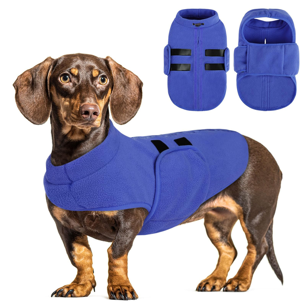Queenmore soft fleece dog jacket on a small dog for all-day warmth.