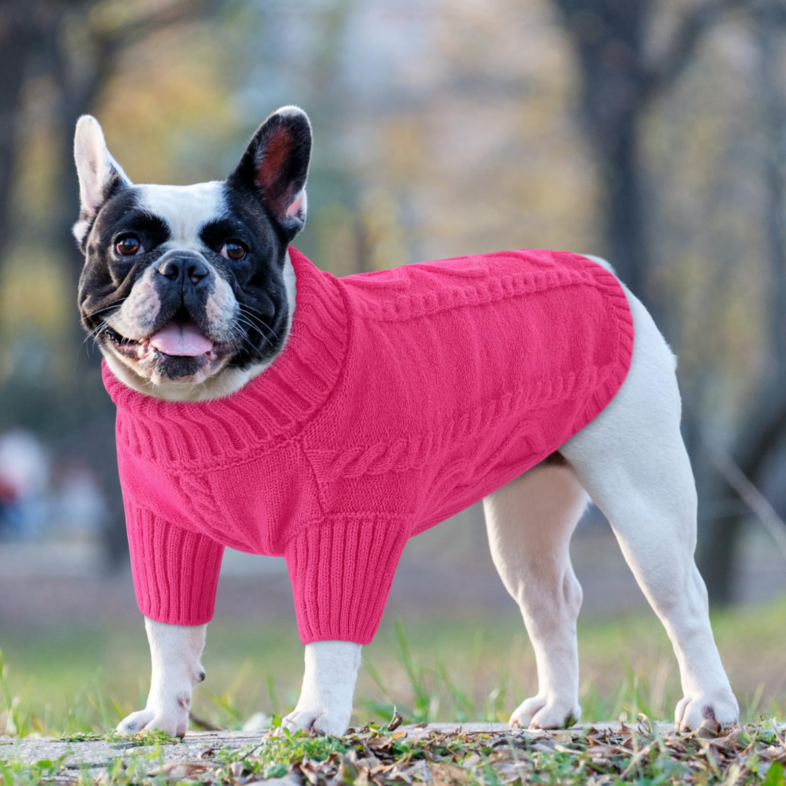 Queenmore stretchy knit dog sweater offers comfortable, flexible fit for movement.