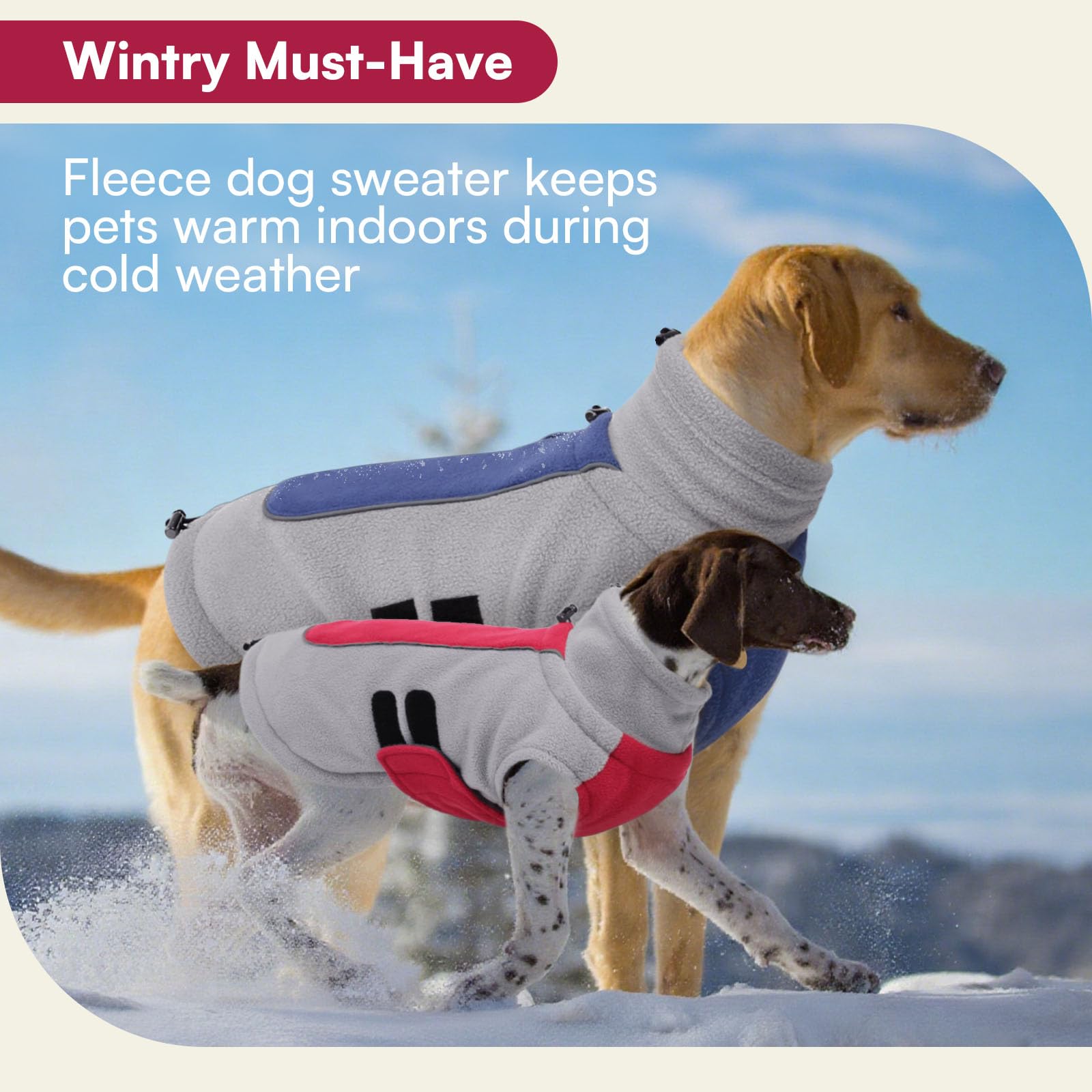 Queenmore sudadera para perro medio, uso diario y salidas con estilo.