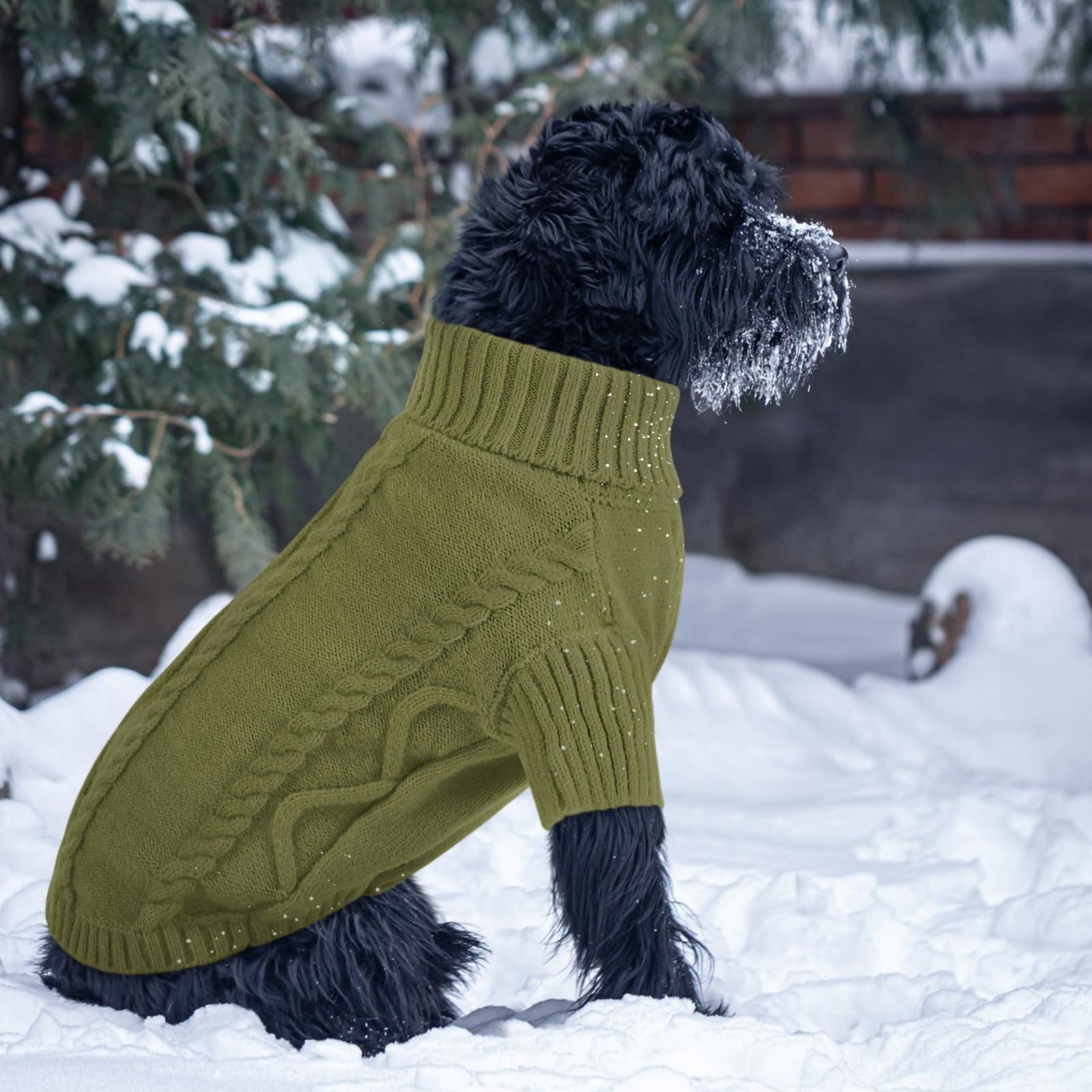 Queenmore sudadera perfecta para paseos de invierno y salidas festivas