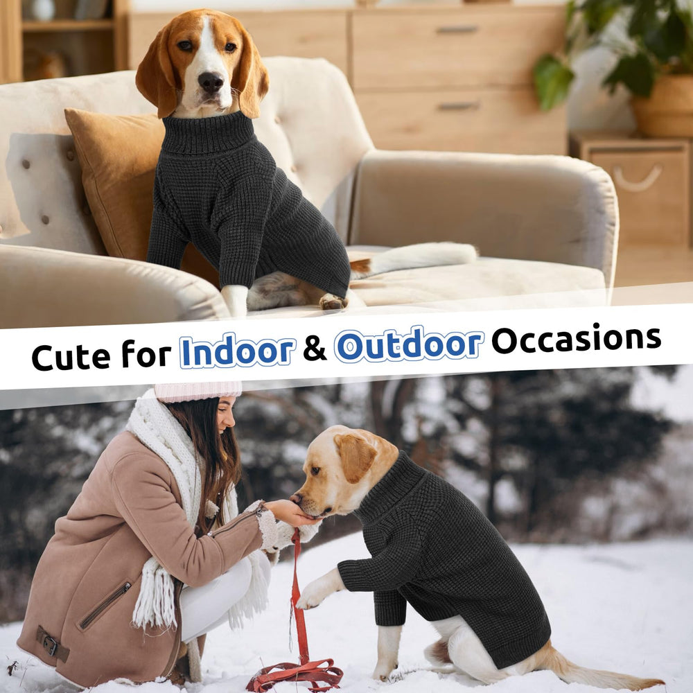 Queenmore dog sweater pullover shot, easy-on design supports quick dressing.