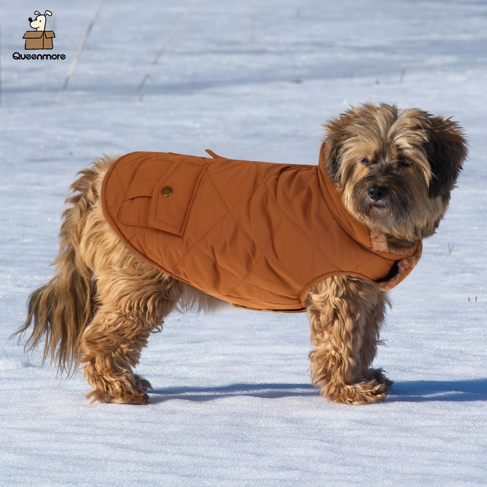 Queenmore warm coat brown back pocket detail—stylish storage for treats, bags, or small essentials.