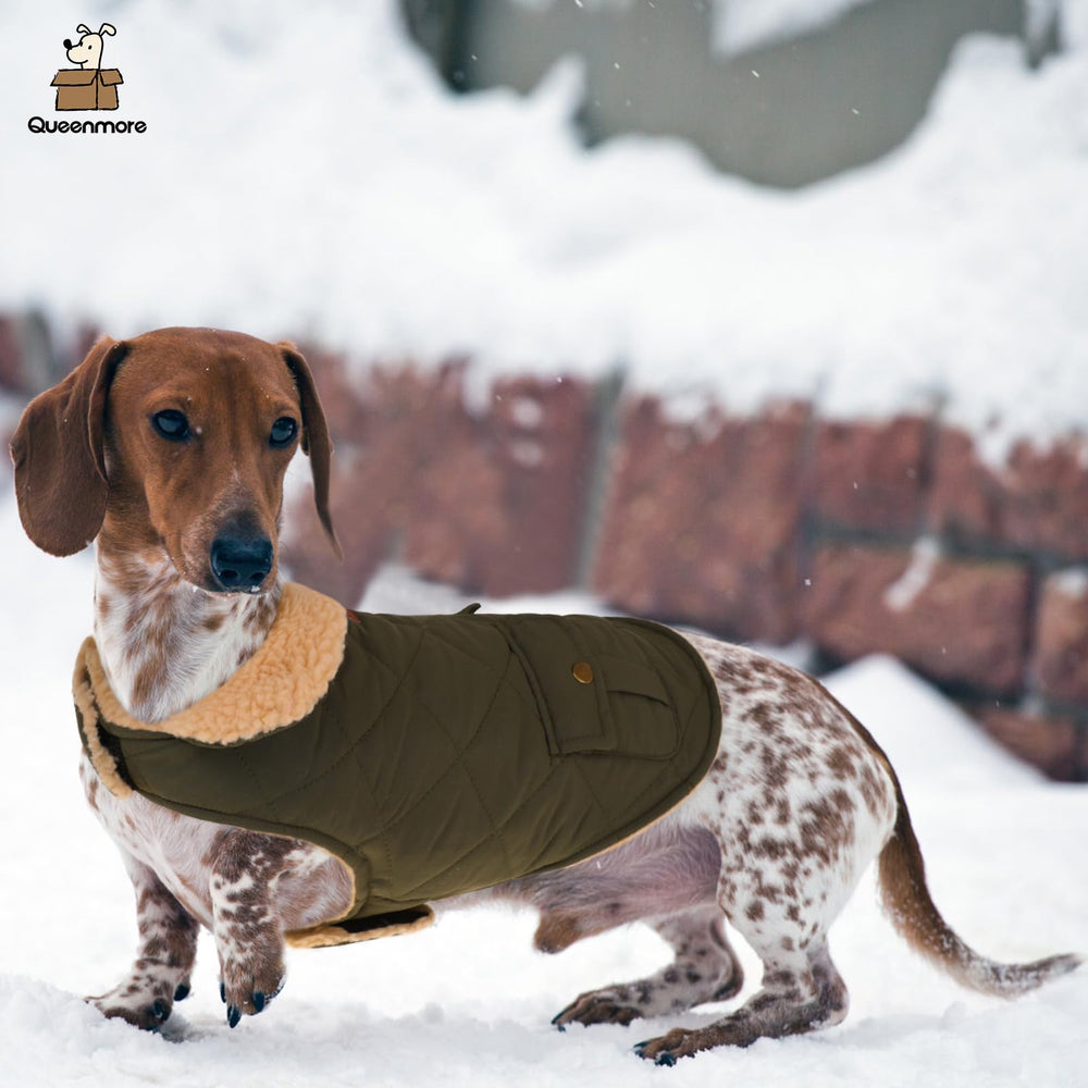 Queenmore warm coat green XL back view shows windproof design and plush lining