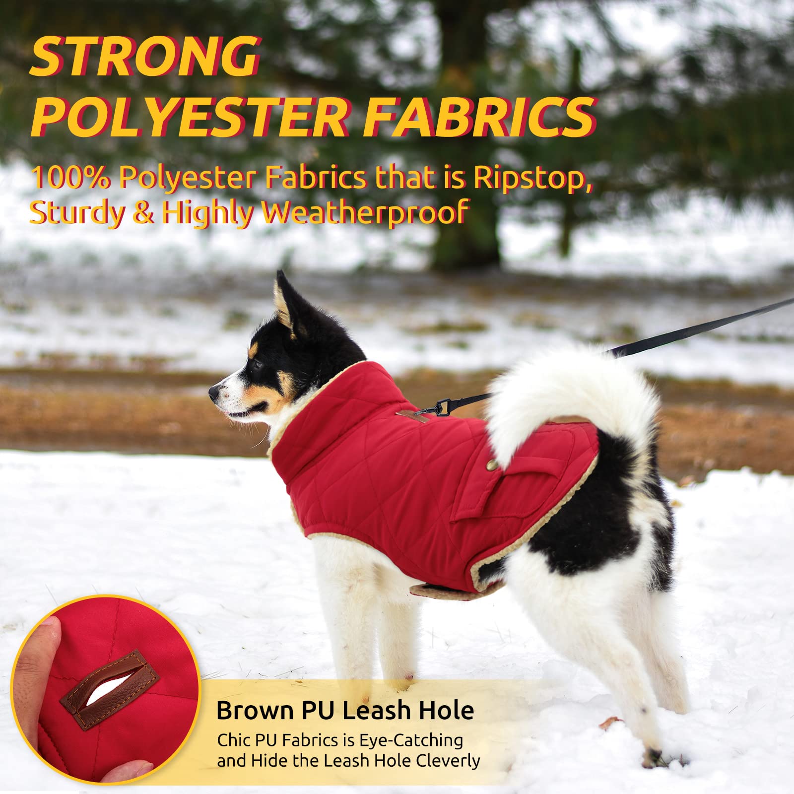 Queenmore coat leash-hole allows secure leash use during strolls.