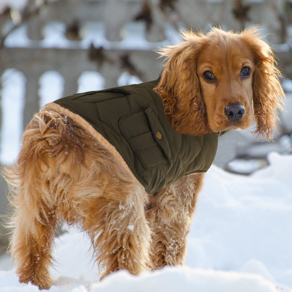Queenmore size chart for warm dog coat fits small to large dogs in green.