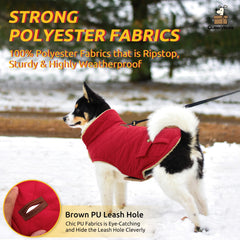 Queenmore warm dog coat leash hole back view in red for easy walking proximity