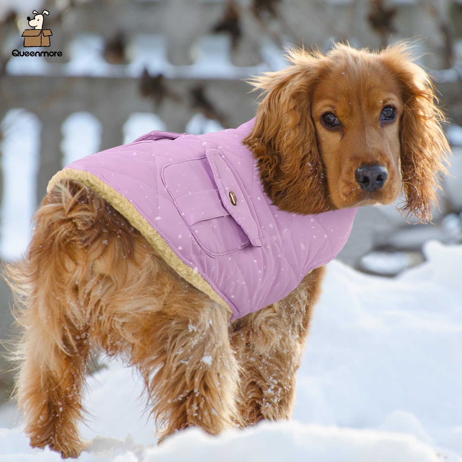 Queenmore Warm Dog Coat Lilac worn by a dog during a walk
