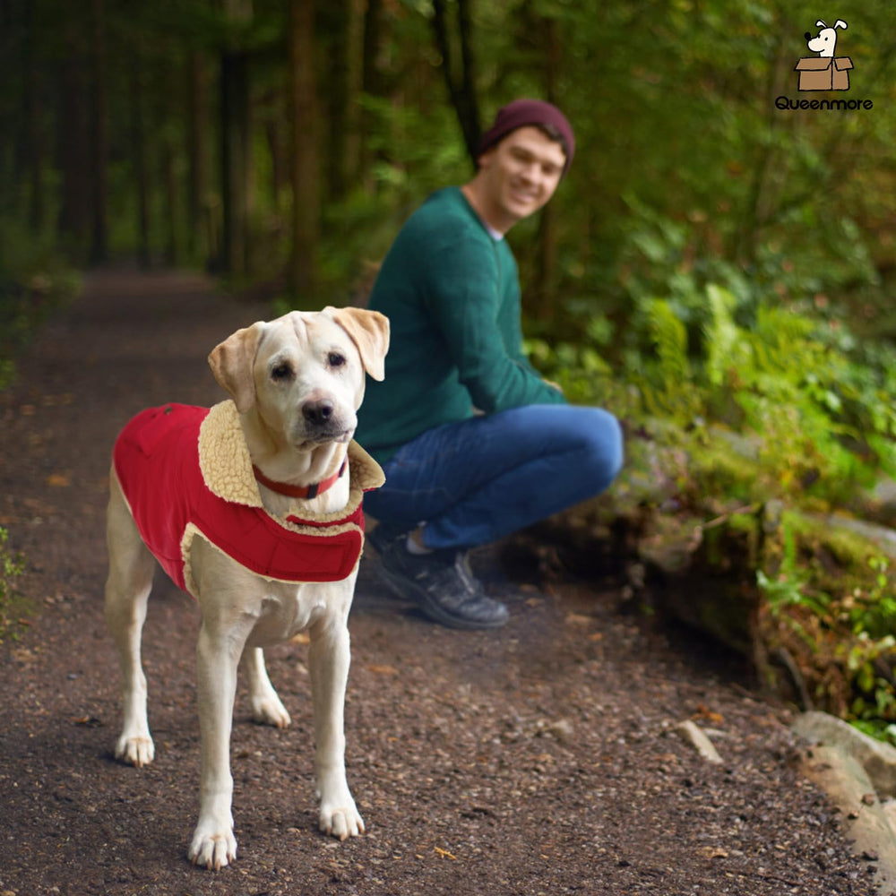 Queenmore warm dog coat size chart in red helps find the right fit