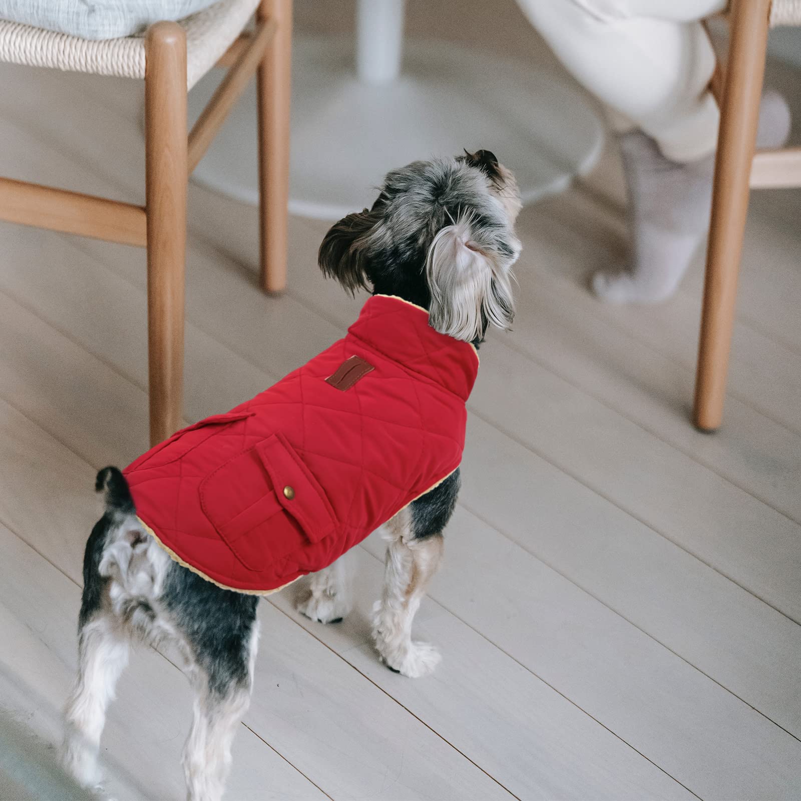 Queenmore warm dog coat windproof fabric in red protects against chilly gusts