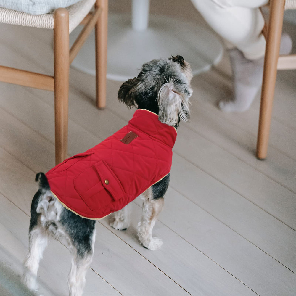 Queenmore warm dog coat windproof fabric in red protects against chilly gusts