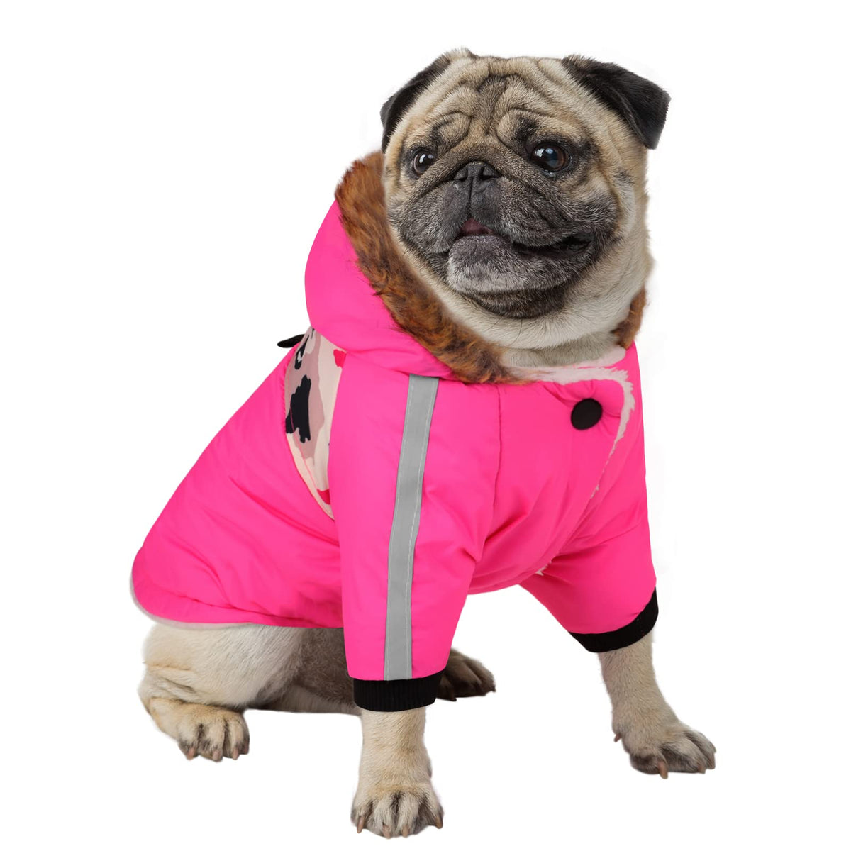 Queenmore warm dog winter coat with hood for cozy outdoor walks