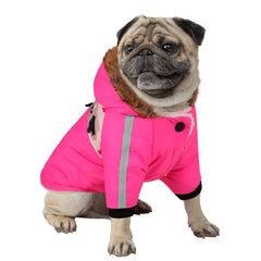 Queenmore warm dog winter coat with hood for cozy outdoor walks